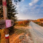 Trekking Langhe: i sentieri per organizzare una gita da sogno